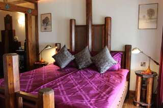 Отели типа «постель и завтрак» Ferndale Luxury Boutique Bed & Breakfast Кил Mini Suite (Mayan)-1